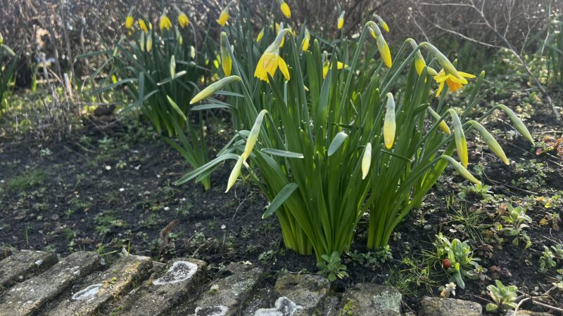 Dagboekje | 2026 | Week 10